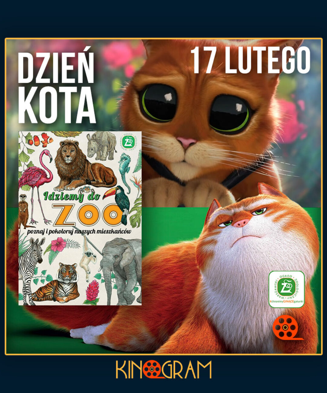 Dzień Kota w kinie KinoGram