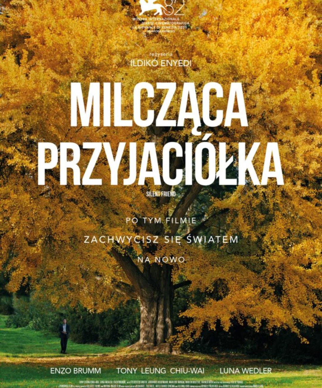 MIĘDZY ZMYSŁAMI – nowy cykl w KinoGram